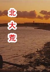 午夜日本免费视频